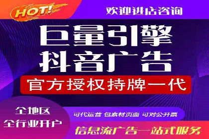 SEO与SEM融合策略：成功案例解析