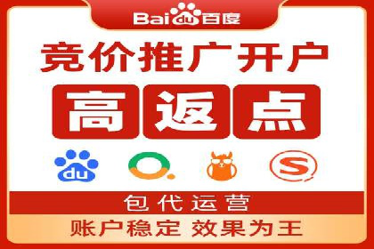 行业内的SEM竞价代运营公司优秀案例剖析